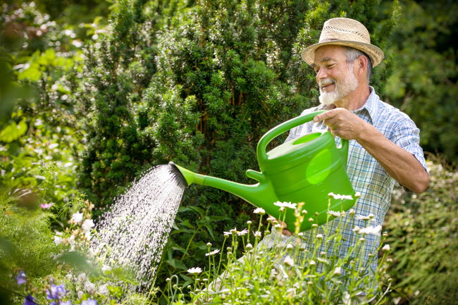 Man using a watering can
