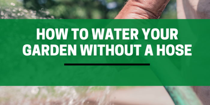 How To Water Your Garden Without A Hose