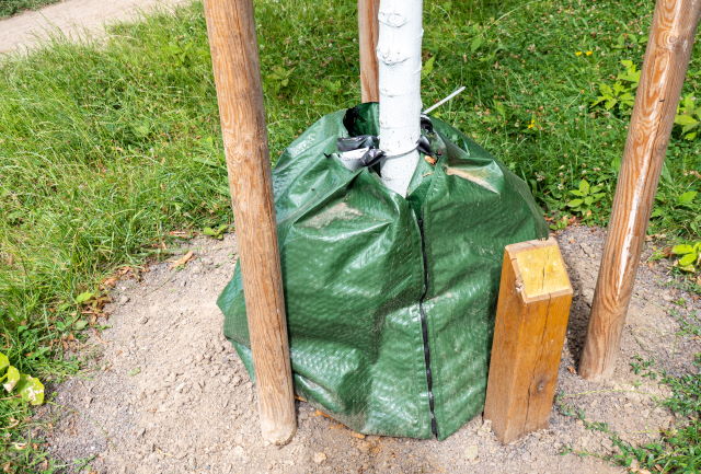 Watering bag