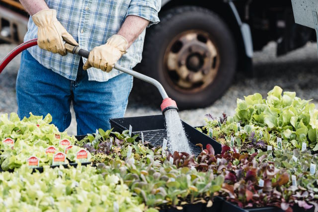 Watering plants with a nozzle