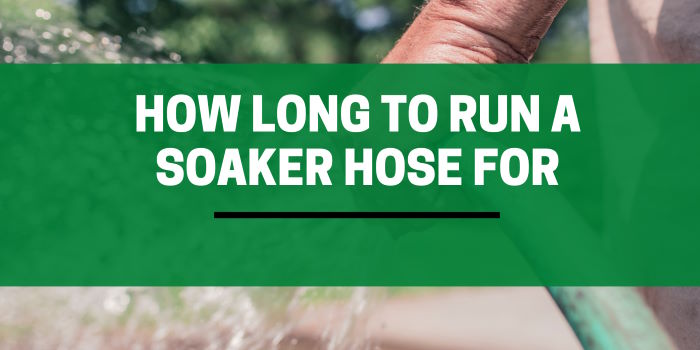 How Long To Run A Soaker Hose For
