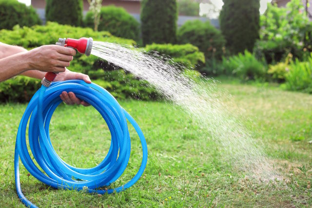 garden hose spraying water